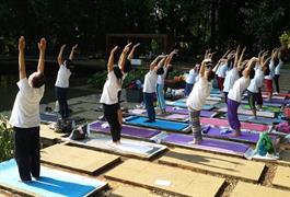 Yoga dialam terbuka, Bogor 8 May 2017