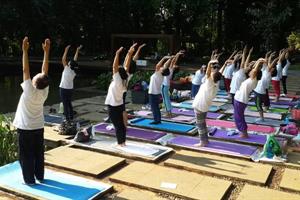 Yoga dialam terbuka, Bogor 8 May 2017